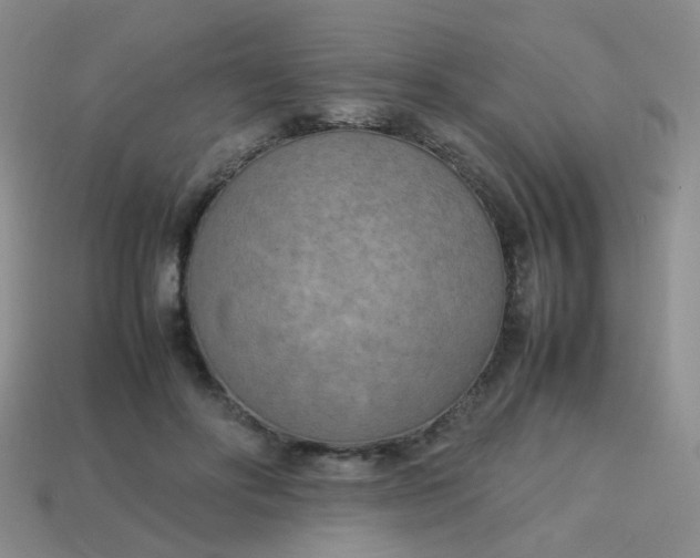 X0000113750502200910141029