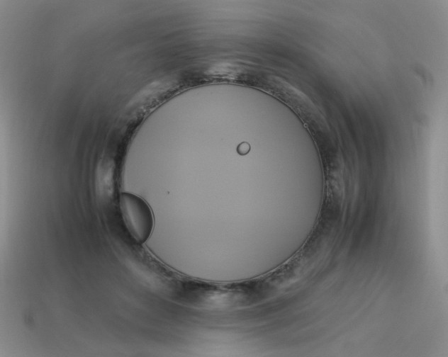 X0000113750504200910141029