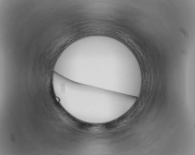 X0000113750505200910141029