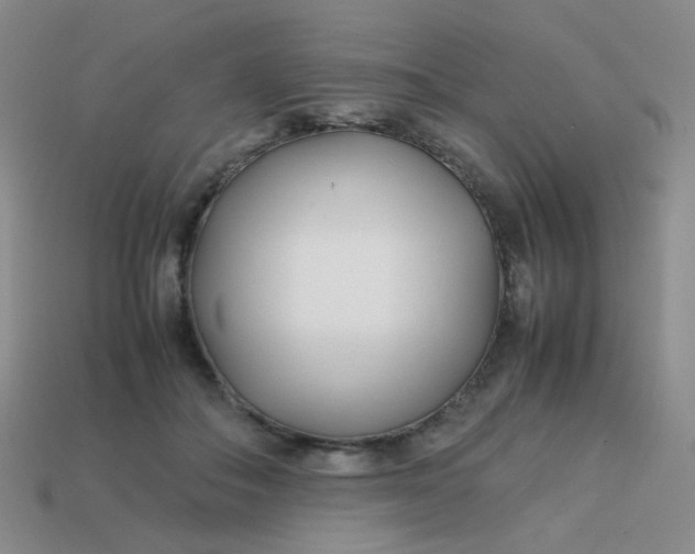 X0000113750506200910141029