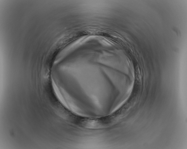 X0000113750507200910141029