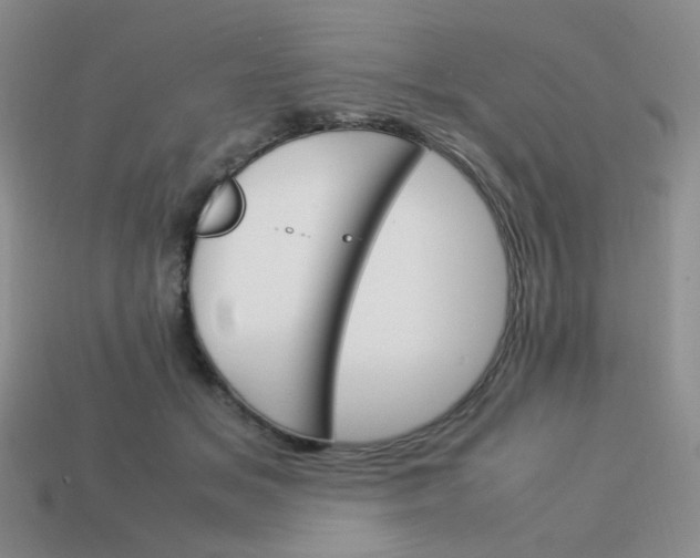 X0000113750509200910141029