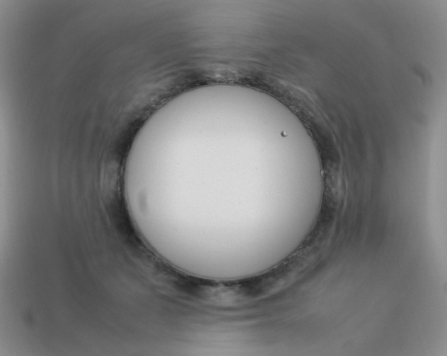 X0000113750511200910141029