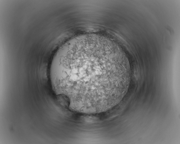 X0000113750512200910141029