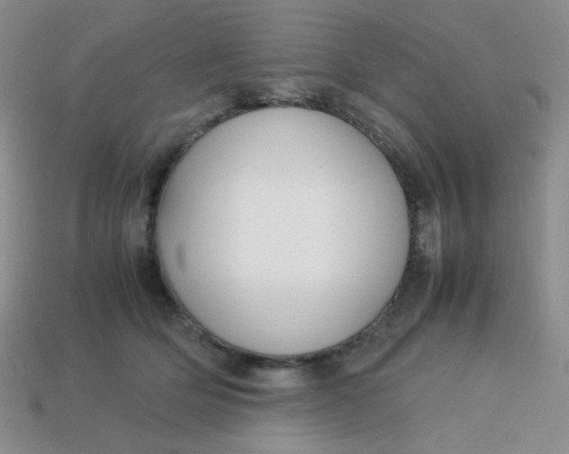 X0000113750514200910141029