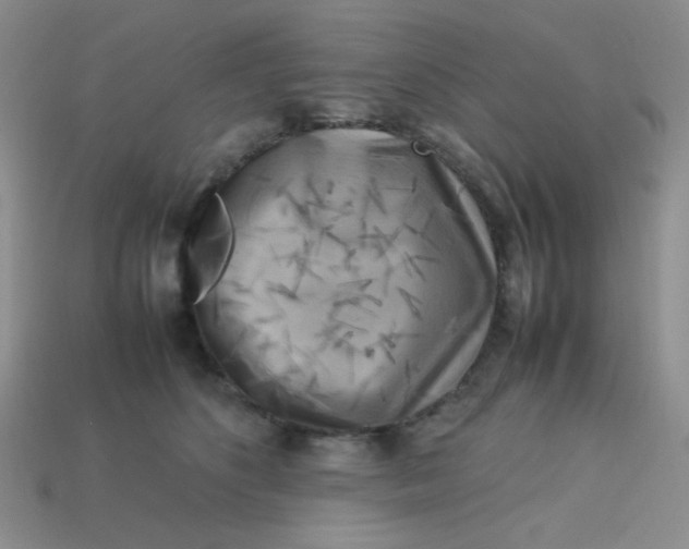 X0000113750516200910141029