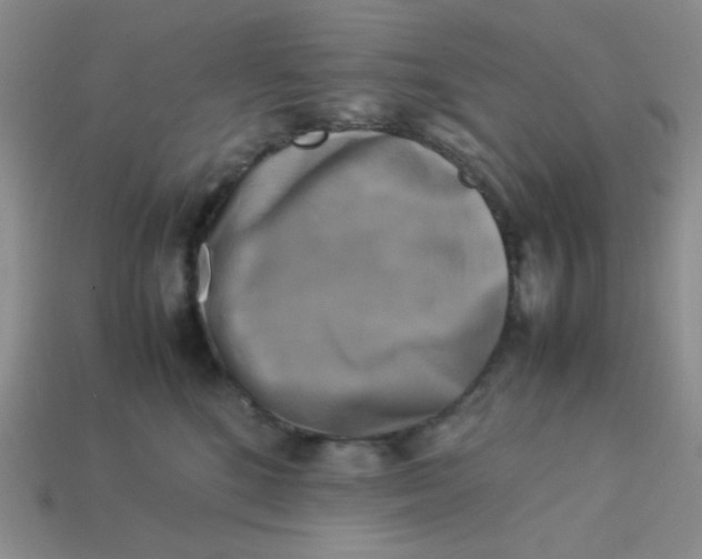 X0000113750520200910141029