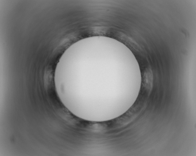 X0000113750522200910141029