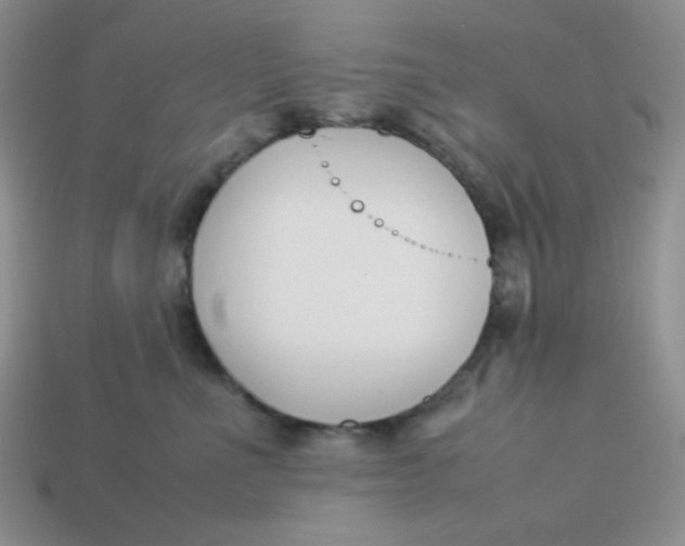 X0000113750523200910141029