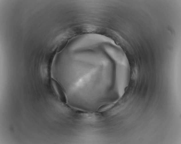 X0000113750524200910141029