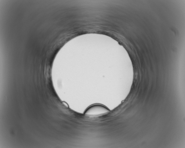 X0000113750525200910141029