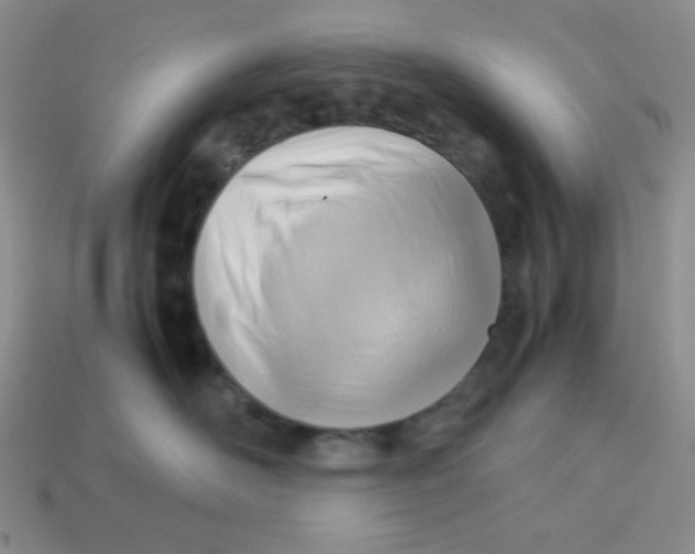 X0000113750526200910141029