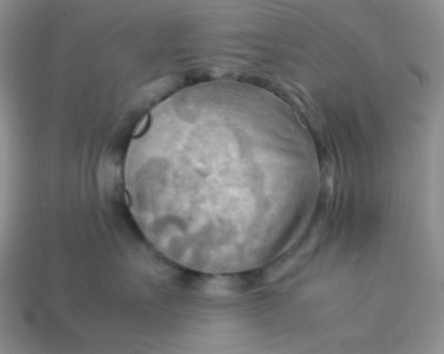 X0000113750527200910141029