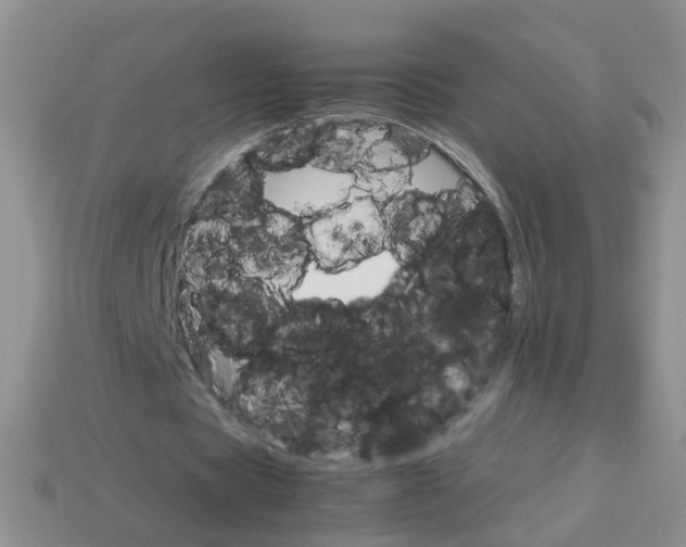 X0000113750529200910141028