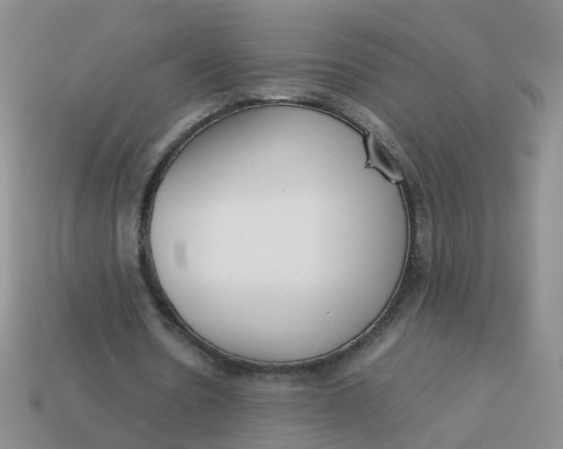 X0000113750530200910141028