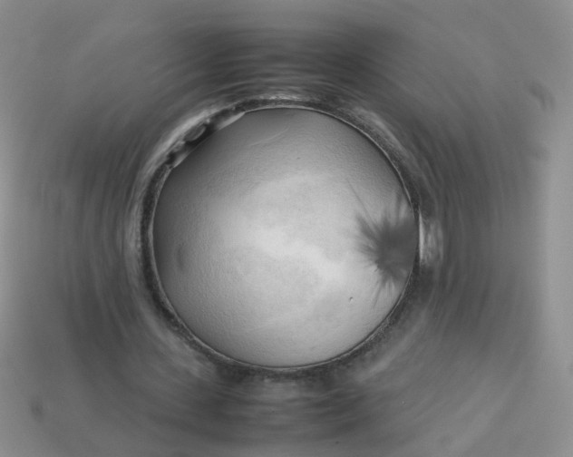 X0000113750531200910141028