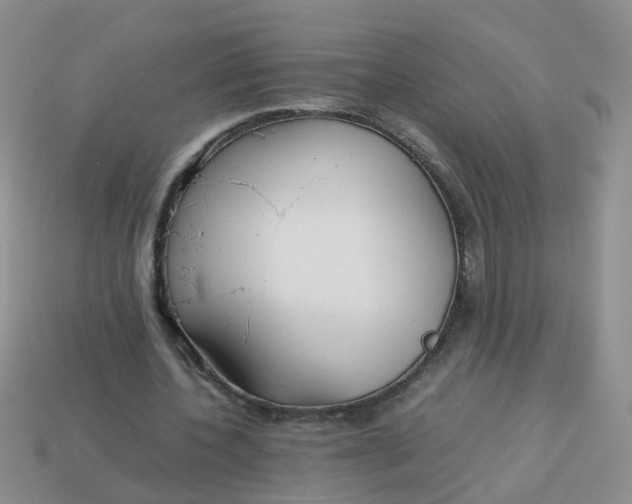 X0000113750532200910141028