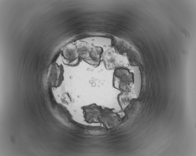 X0000113750533200910141028