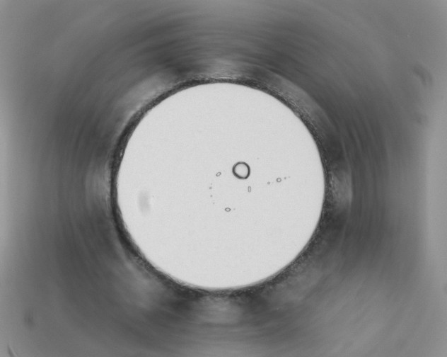 X0000113750534200910141028