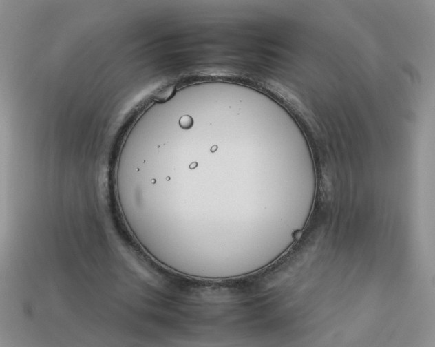 X0000113750535200910141028