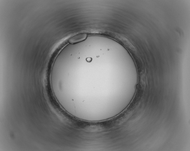 X0000113750536200910141028