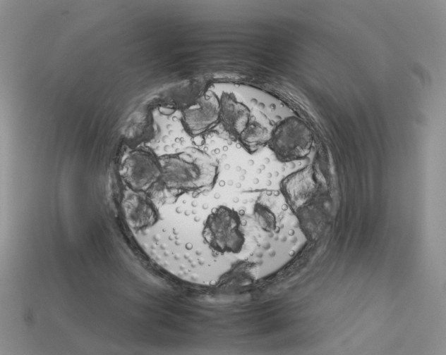 X0000113750537200910141028