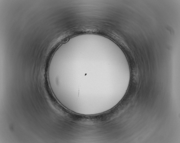 X0000113750538200910141028