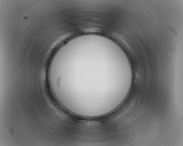 X0000113750539200910141028