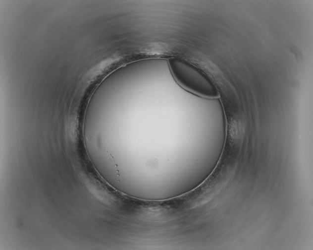 X0000113750540200910141028