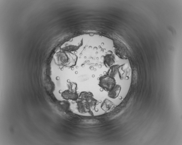 X0000113750541200910141028