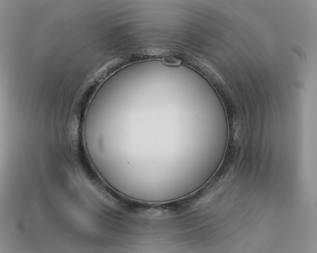 X0000113750542200910141028