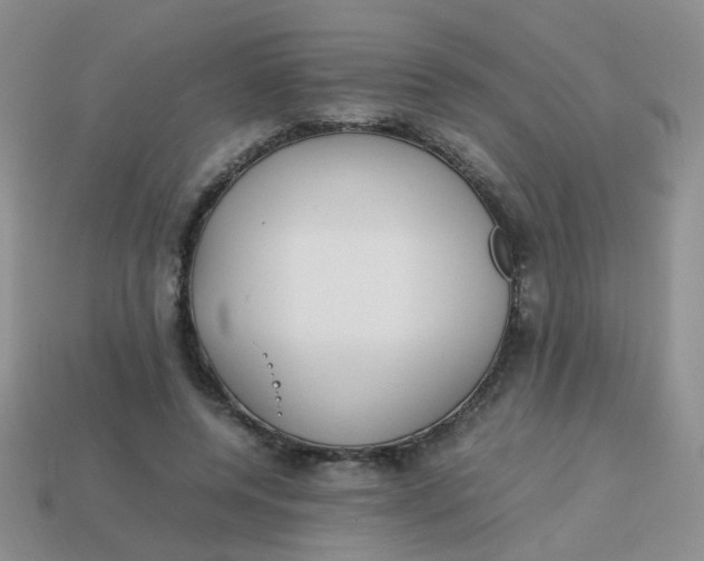 X0000113750544200910141028