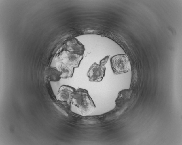 X0000113750545200910141028