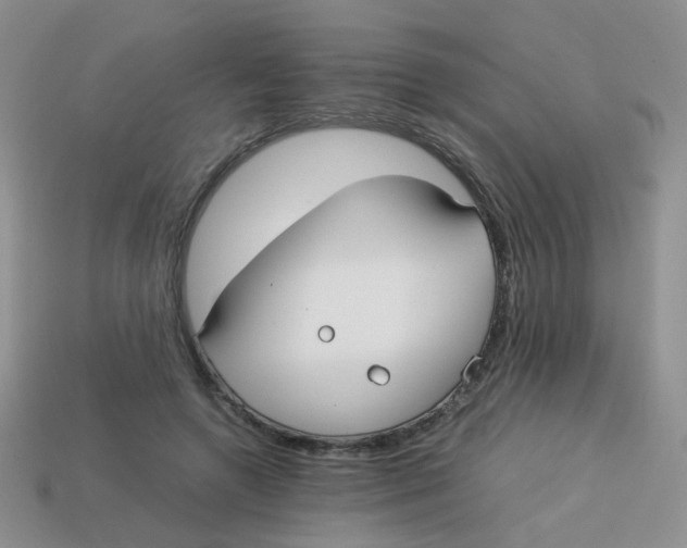 X0000113750546200910141028