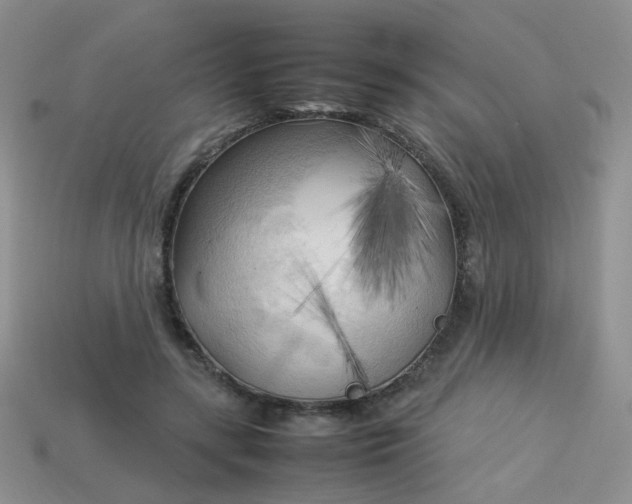 X0000113750547200910141028