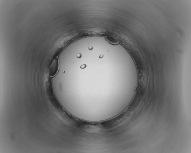 X0000113750548200910141028