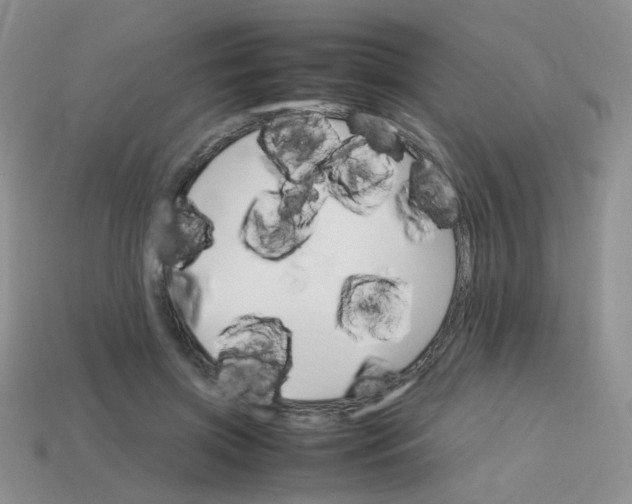 X0000113750549200910141028