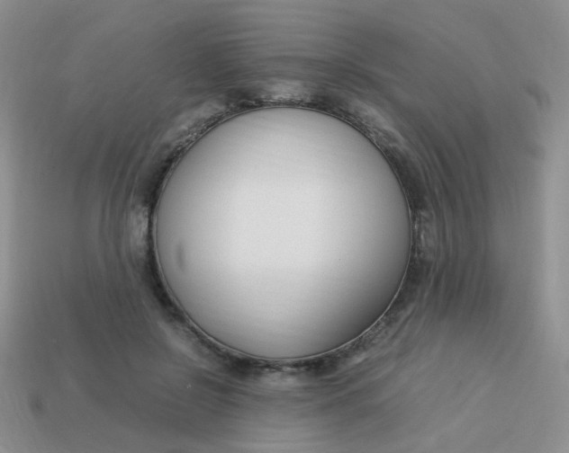 X0000113750550200910141028