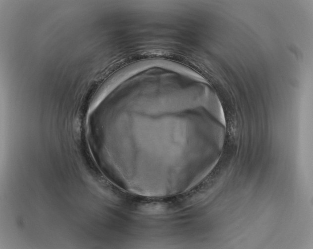 X0000113750551200910141028