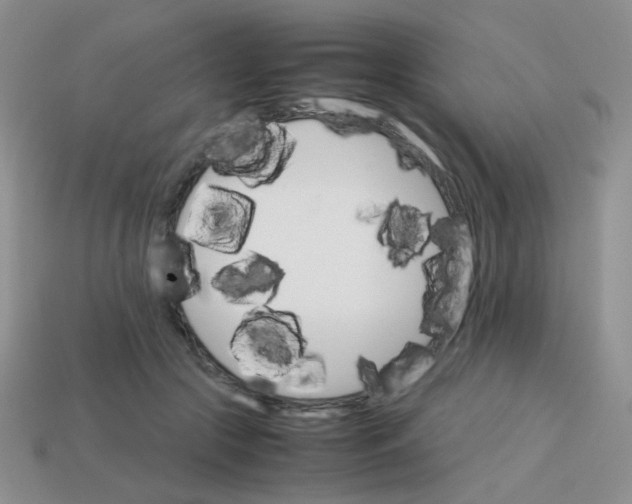 X0000113750553200910141028