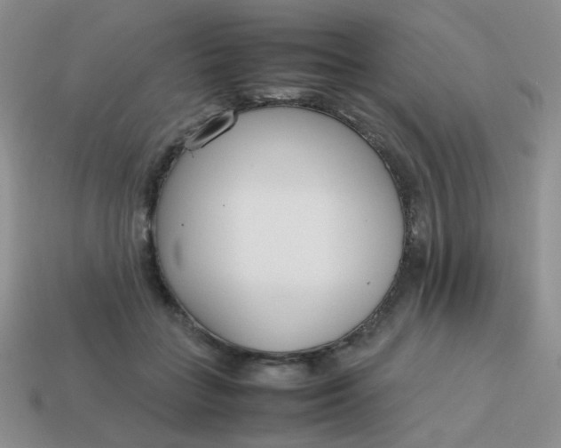 X0000113750555200910141028