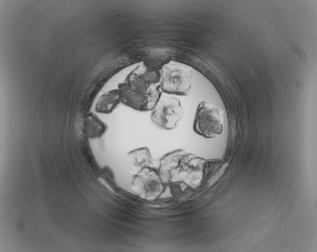 X0000113750557200910141028