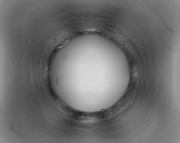 X0000113750559200910141028