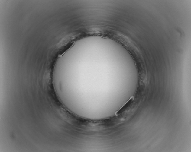 X0000113750560200910141028