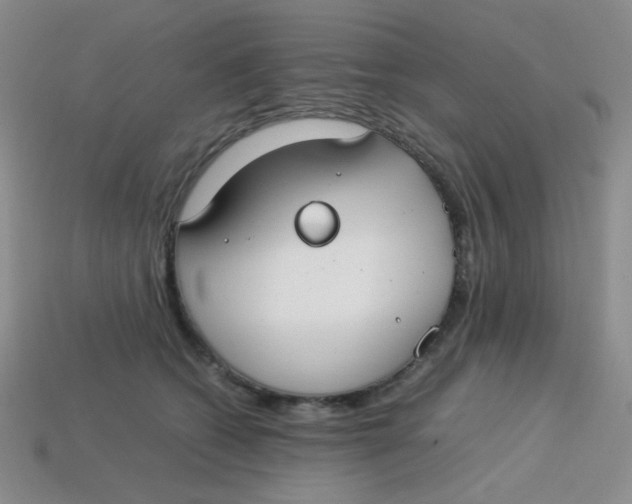 X0000113750562200910141028