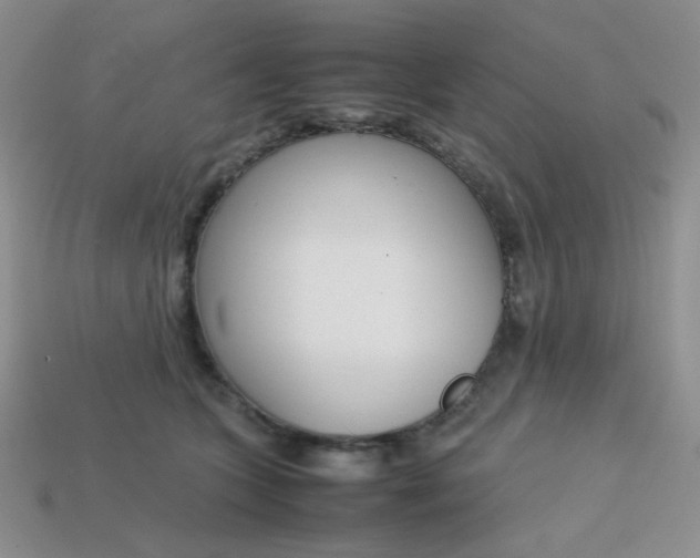 X0000113750563200910141028