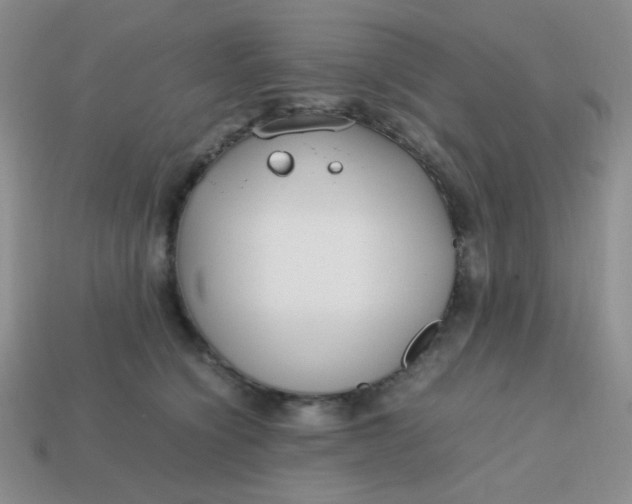 X0000113750564200910141028