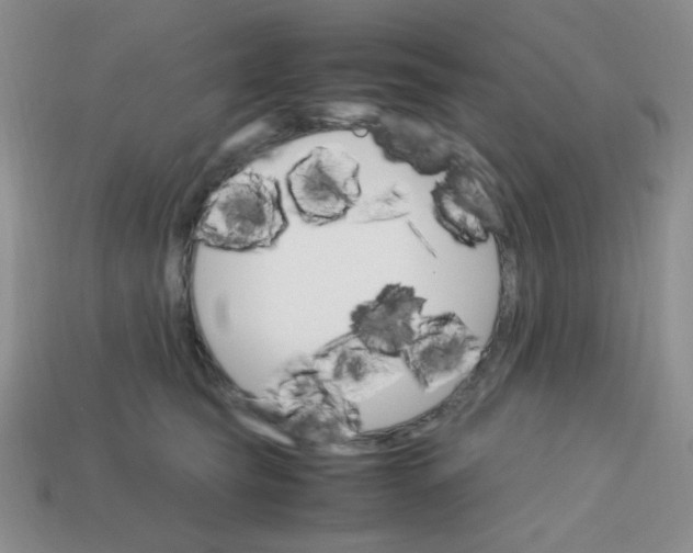 X0000113750565200910141028