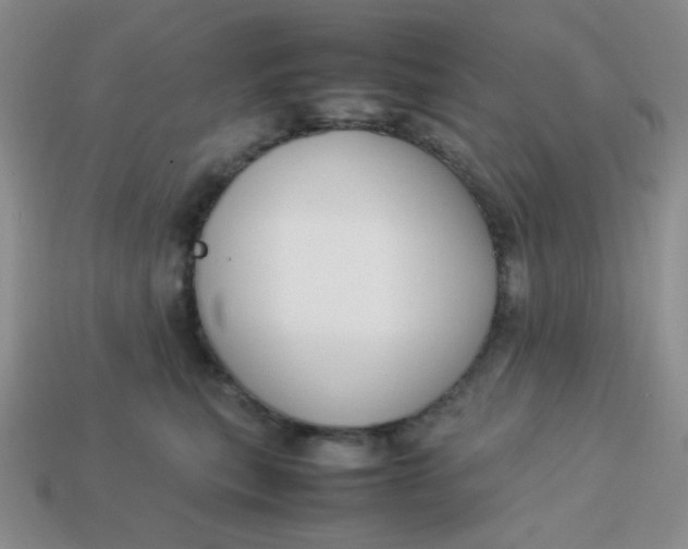 X0000113750567200910141028