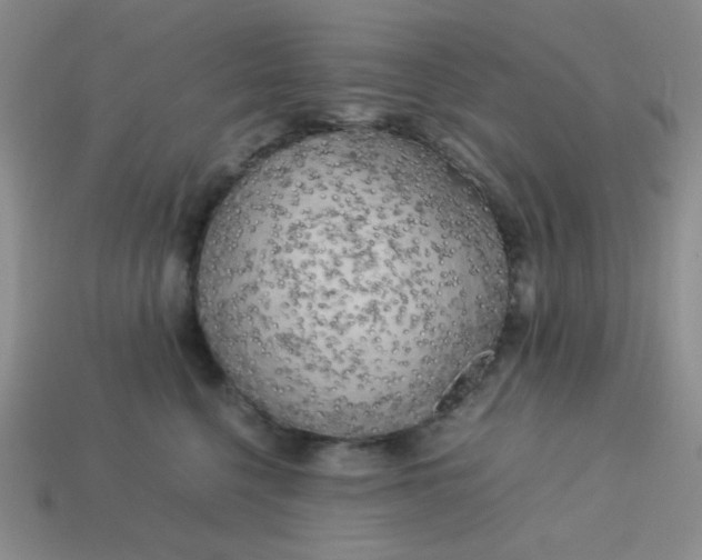 X0000113750568200910141028